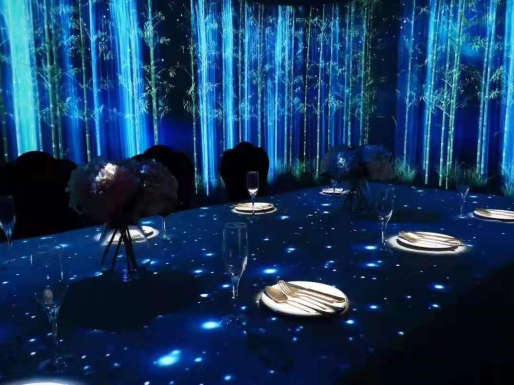 開一家5D全息投影餐廳需要多少錢-博視界科技